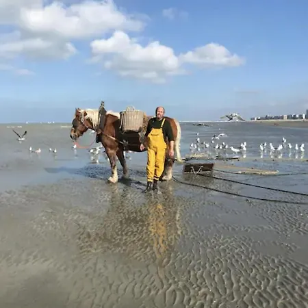 Zeesymfonie Oostduinkerke Apartamento Koksijde